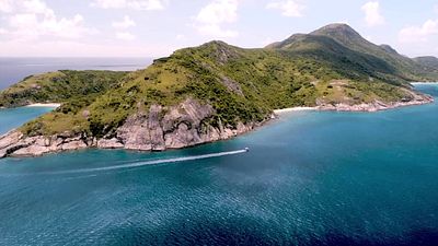 bild aus der news Das nächste Unterwasser-Abenteuer von James Cameron nach "Avatar 2": Dieser Trailer zeigt Aliens der anderen Art