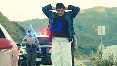 bild aus der news Neue Rolle für die einst bestbezahlte Schauspielerin der Welt – an der Seite von Oscar-Gewinner Benicio Del Toro!