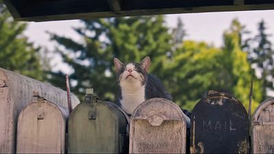 bild aus der news Bitterböse und spannend bis zum Schluss: Diese neue Stephen-King-Verfilmung ist das perfekte Weihnachtsgeschenk für alle Fans des Kultautors!