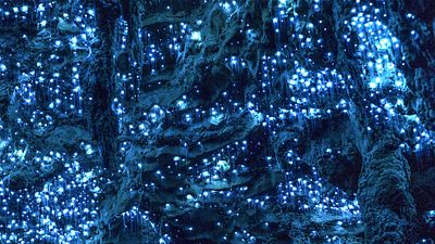 bild aus der news TV-Tipp: Eine der schönsten und bildgewaltigsten Fortsetzungen der letzten Jahre – und es ist nicht "Avatar 2"!