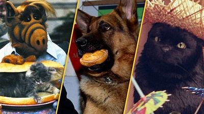 bild aus der news "ALF", Edgar Wallace, "Kommissar Rex" und Co.: Gönnt euch zum Amazon Prime Day die volle Nostalgie-Dröhnung