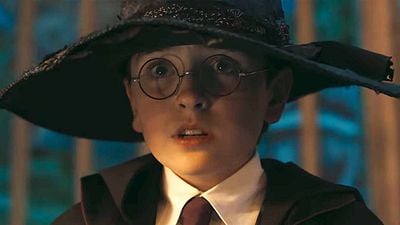 bild aus der news Entscheidende Rolle in der "Harry Potter"-Serie besetzt – und auch die Hausgeister sind gefunden!