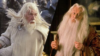 bild aus der news Ian McKellen hätte nach Gandalf fast auch Dumbledore gespielt, aber eine Beleidigung hielt ihn davon ab