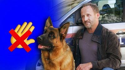 bild aus der news Kuscheln verboten! Deshalb darf der Schäferhund von "Kommissar Rex" beim Dreh auf keinen Fall gestreichelt werden