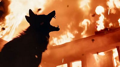 bild aus der news Deutscher Trailer zum Tierhorror "Coyotes" mit reichlich Blut, Feuer und tiefschwarzem Humor