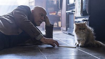 bild aus der news Butler aus Versehen: Im deutscher Trailer zu "Monsieur Blake zu Diensten" muss John Malkovich sein Leben neu beginnen