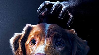 bild aus der news Der wohl ungewöhnlichste Horrorschocker des Jahres ist auch einer der besten: Neuer Trailer zu "Good Boy"
