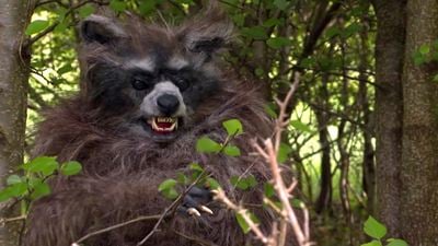 Erst ein koksender Schwarzbär, jetzt ein Waschbär auf Crack: Der erste Trailer zum Trash-Horror-Spaß "Crackcoon" ist da!