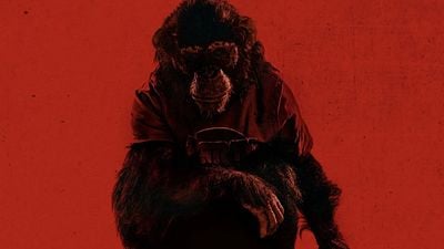 bild aus der news "Es war sofort absolut furchteinflößend": Wir sprechen mit dem "Primate"-Regisseur über Tierhorror und die Wucht von praktischen Effekten