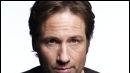 bild aus der news Duchovny, Moore und Heard als himmlische Familie