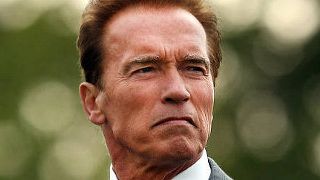bild aus der news Arnold Schwarzenegger bestätigt Rückkehr ins Filmgeschäft