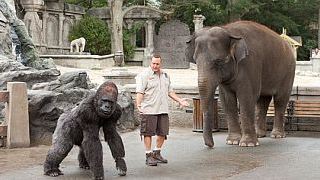 Exklusives Featurette zu "Der Zoowärter" mit Kevin James