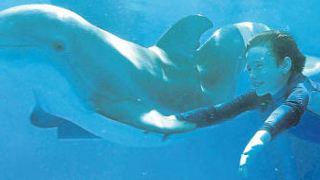 "Mein Freund, der Delfin": Zwei TV-Spots zum Überlebensdrama mit Morgan Freeman und Ashley Judd