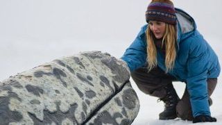 bild aus der news Exklusiv: Making-Of zu "Der Ruf der Wale" mit Drew Barrymore