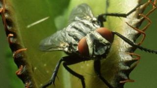 bild aus der news Exklusiver Clip zur Natur-Dokumentation "Unser Leben"