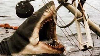 bild aus der news "Der Weiße Hai": Blu-ray-Debüt des Klassikers mit Originaltonspur