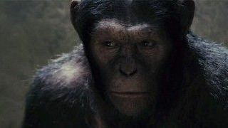 "Contagion"-Autor schreibt Skript zum "Planet der Affen: Prevolution"-Sequel
