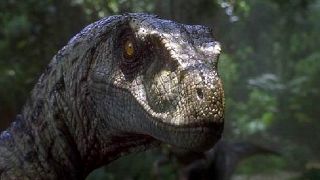 bild aus der news "Jurassic Park 4": Drehbuchautoren für Dinosaurier-Sequel gefunden