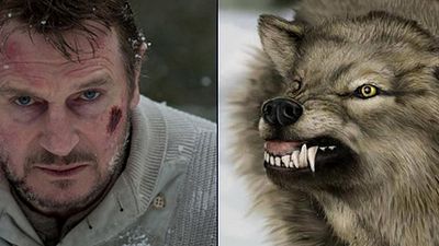 bild aus der news "The Grey": Exklusives Video zum DVD- und Blu-Ray-Start des Survival-Thrillers mit Liam Neeson