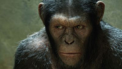 "Planet der Affen: Prevolution"-Fortsetzung womöglich ohne Regisseur Rupert Wyatt
