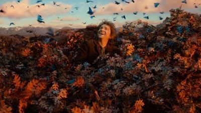 Erster deutscher Trailer zu Peter Jacksons "Der Hobbit: Smaugs Einöde" und viele tolle neue Bilder