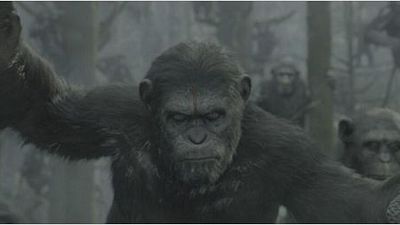 bild aus der news Die Simian-Grippe greift um sich: Virale Kampagne zu "Dawn of the Planet of the Apes" geht an den Start