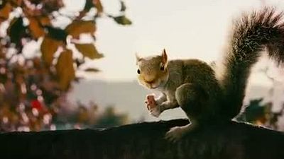 bild aus der news Angriff der Killer-Eichhörnchen: Erster Sales-Trailer zu Timur Bekmambetovs Horror-Film "Squirrels"