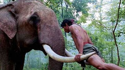 bild aus der news Martial-Arts-Star Tony Jaa schlägt im neuen actionreichen Trailer zu "Tom Yum Goong 2" wieder kräftig zu