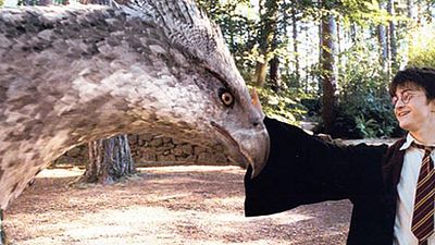 bild aus der news "Phantastische Tierwesen und wo sie zu finden sind": Verfilmung des "Harry Potter"-Spin-offs als Trilogie geplant