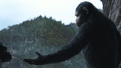 bild aus der news "Planet der Affen: Revolution": Neuer Trailer mit Baby-Affen, berührenden Szenen und jeder Menge Story-Details