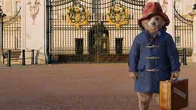 bild aus der news Erster deutscher Trailer zur Buchverfilmung "Paddington" um einen liebenswerten Bären
