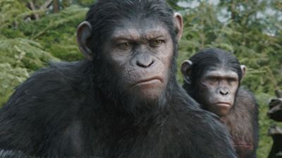 "Planet der Affen: Revolution": Erste Stimmen zum Sequel von Matt Reeves sind sehr positiv