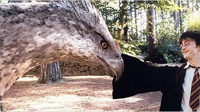 bild aus der news "Phantastische Tierwesen und wo sie zu finden sind" wird in den "Harry Potter"-Studios gedreht