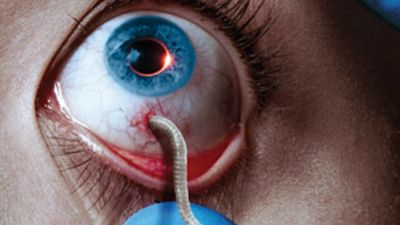 bild aus der news Vampire in Manhatten: Guillermo del Toros "The Strain" wird offiziell um zweite Staffel verlängert