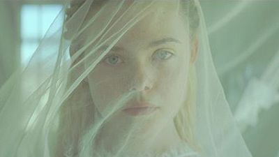 bild aus der news Deutscher Trailer zu "Young Ones" mit Michael Shannon, Nicholas Hoult und Elle Fanning