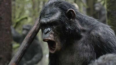 bild aus der news "Planet der Affen 3": Andy Serkis und Matt Reeves sprechen über drohenden Krieg und dunkle Zeiten für Affe Caesar