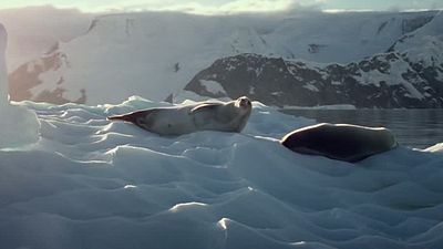 bild aus der news Eiszeit im ersten Trailer zum Drama "Red Knot" mit Olivia Thirlby, Vincent Kartheiser und Billy Campbell