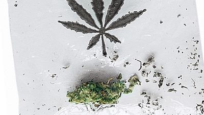 bild aus der news Deutscher Kiffer-Roman "Die Cannabis GmbH" wird verfilmt