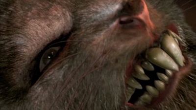 bild aus der news Ratten in der Politik im ersten Trailer zum Trash-Spektakel "Ratpocalypse"