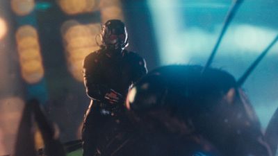 bild aus der news "Ant-Man"-Regisseur Peyton Reed würde gerne Fortsetzung oder Prequel machen