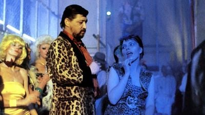 bild aus der news Regisseur und Drehbuchautor Wolf Gremm ("Kamikaze 1989") ist tot