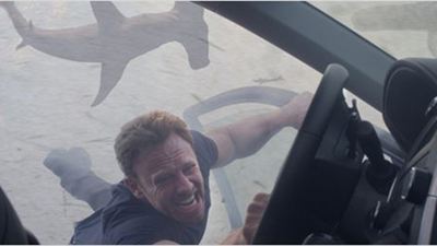 Haie im Heimkino: Neuer deutscher Trailer zum baldigen DVD-Start von "Sharknado 3"