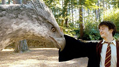 bild aus der news Süß: J.K. Rowling gratuliert aus der Ferne zur Einschulung von Harry Potters Sohn