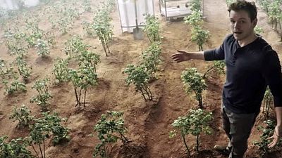 bild aus der news Ohne Frage das geilste Gemüse: Die Top 7 Kartoffelfilme aller Zeiten!