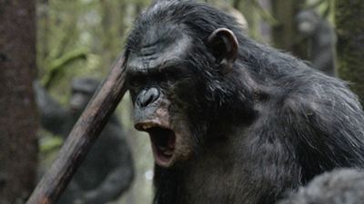 "Planet der Affen 3": Dreharbeiten haben begonnen, Matt Reeves twittert erstes Set-Bild