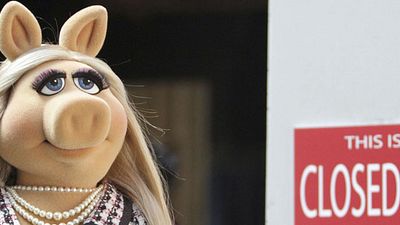bild aus der news Lustiges Video: Miss Piggy und Kermit parodieren Adeles Clip zu "Hello"