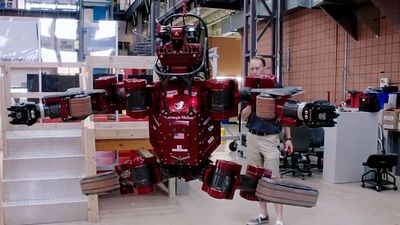 bild aus der news "Lo And Behold": Neuer Trailer zu Werner Herzogs Doku über die vernetzte Welt
