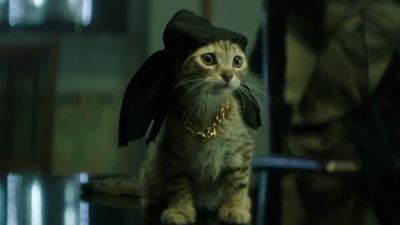 Trailer zur Action-Komödie "Keanu": Key & Peele wollen eine entführte Katze retten