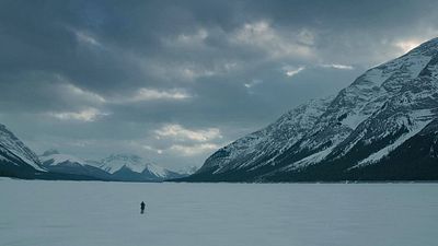 bild aus der news Oscars 2016: Goldjunge für die beste Kamera geht an "The Revenant"