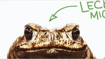 bild aus der news "Männertag": Erster Trailer zur Buddy-Komödie mit Milan Peschel, Tom Beck und Axel Stein